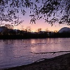 nika_30163