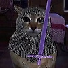 nikita_29512