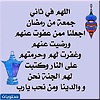 john91z