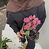 fairy_28789