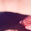 safaa_77614