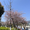 user_38593