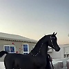 ka_83393