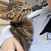 hasnae_46353