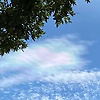 felix_16940