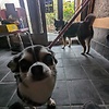 maemae01