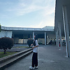 lily_15141
