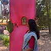 ahonaa_91207