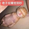 chen_95008