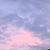 monica_76419
