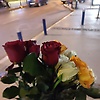 viana_39559