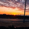 salahchiha_96675