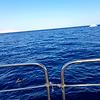 khaled_42860