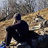 albe_61598