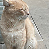 merve_42657