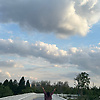 lin_26656