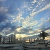 yasmine_42753