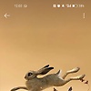 vannesa_84605