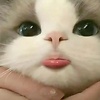 Sakshi_22