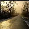 noone_70642