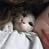 Mi_mi06