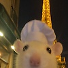 fiya_58533