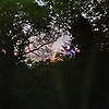 zhao_15158