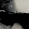 lia_54905