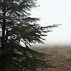 ithri_25415