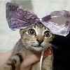 lina_82682