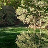 Mehmet-07