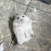 vivian_95633