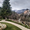 antonio_31850
