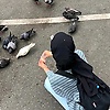 safira_20811