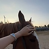 csultanli_16072
