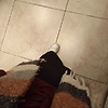 majdouline_39677
