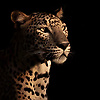marwa_02