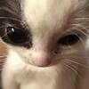 alexander_82287