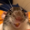 user_17420