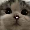 youngmii_67755