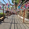 Nyctelios