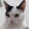 francisco_17538