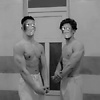 Roronoa_666