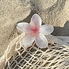 daia_41392