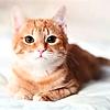 richard_s0814