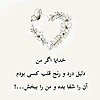 hameed_94551