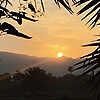 rocky_98562