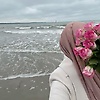 noor_26995