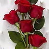 mimisa_65005