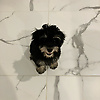 josh_72696